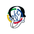 IT Process Maps Partner: soft-CONSULT